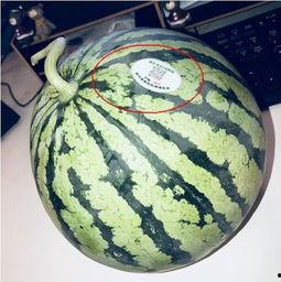 古装网红吃瓜,揭秘宫廷幕后秘闻