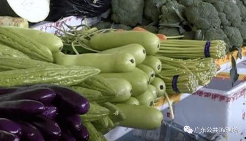 吃葫芦瓜有没有嘌呤,食用葫芦瓜对尿酸水平的影响