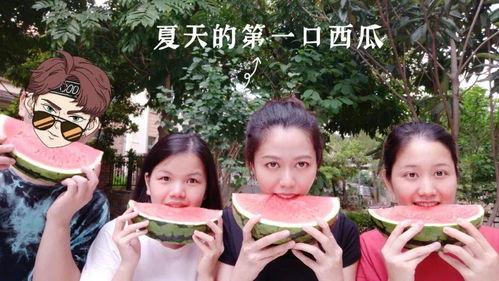 夏季吃瓜追剧,剧集盛宴时