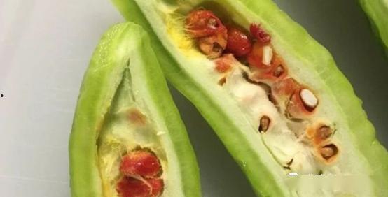 吃梨瓜吃出虫卵,揭秘食品安全隐患