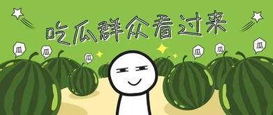 暑期吃瓜记,我的暑期吃瓜记