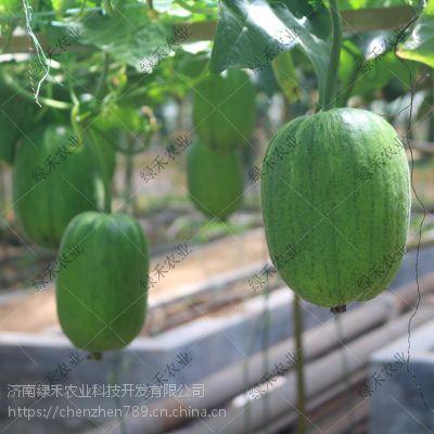 苹果系统吃瓜,科技巨头如何引领吃瓜潮流