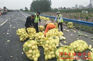 岭谷吃瓜群众,揭秘娱乐圈幕后风云