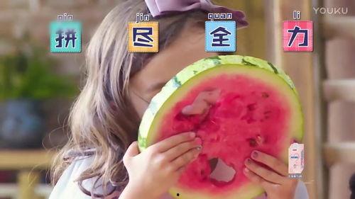 小猪宝宝吃瓜视频,萌态十足引网友爆笑