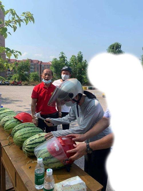 潍坊高密吃瓜事件,一场网络热议背后的真相揭秘