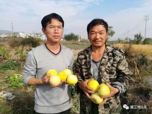 吃瓜群众深圳,吃瓜群众眼中的繁华都市