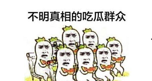 荣耀平板吃瓜群众,吃瓜群众的娱乐新宠