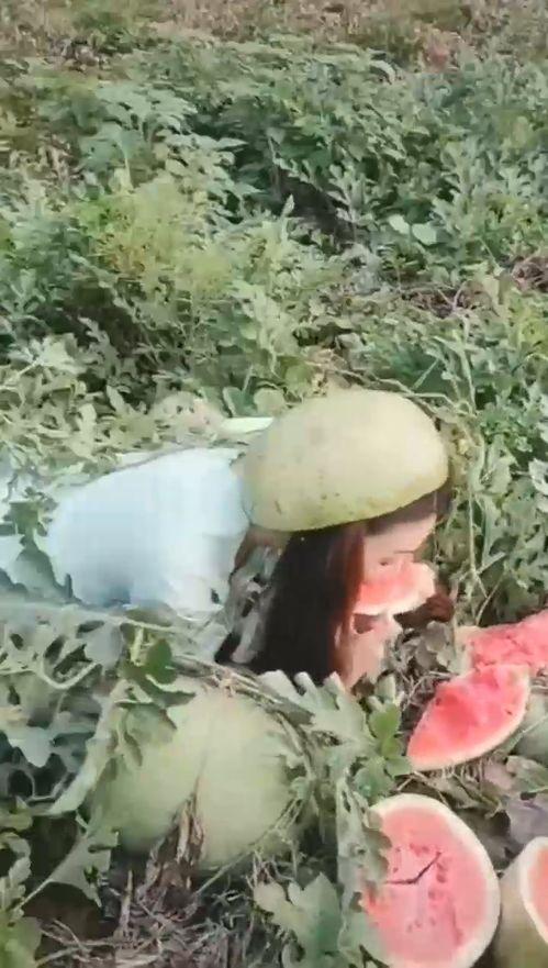 泰山吃瓜小姐姐,揭秘网红背后的故事