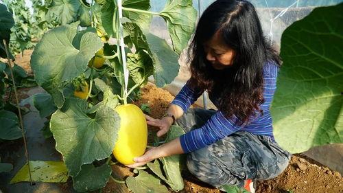 瓜果带你吃瓜,带你领略美味瓜果的奇幻之旅