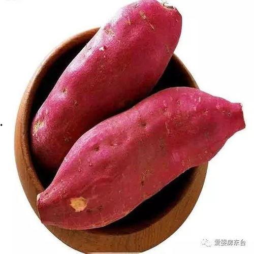 怀孕了可以吃土瓜吗,土瓜在孕期是否适宜食用