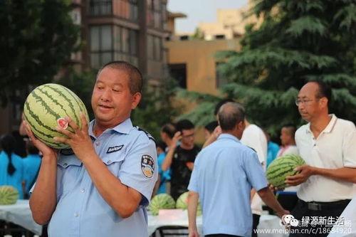 专业吃瓜现场,一场视觉与味觉的双重盛宴