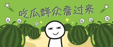 暑期吃瓜记,我的暑期吃瓜记