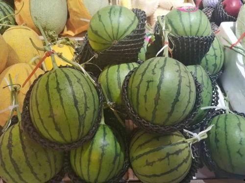 吃的瓜都有什么,盘点那些令人垂涎欲滴的瓜类美食