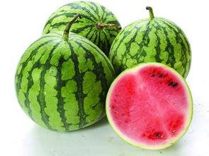 为什么吃瓜不能吃